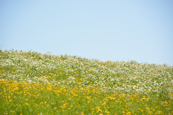 DSC_4151.JPG