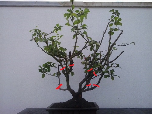 002 - Kopie - Kopie.jpg
