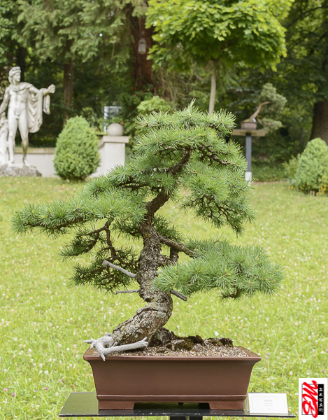 DSC_8315.jpg