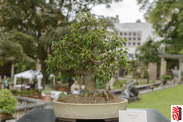 DSC_8324.jpg