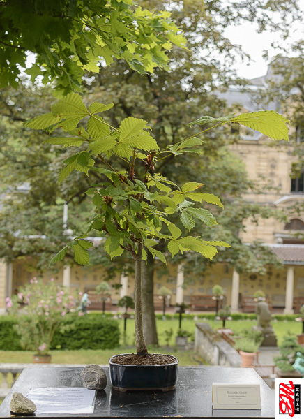 DSC_8328.jpg