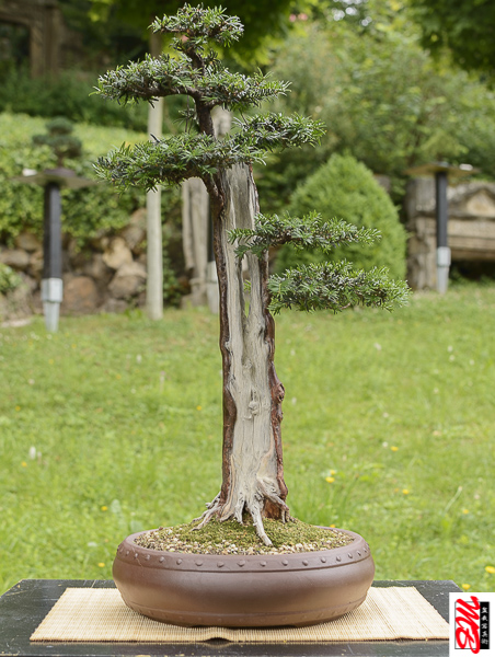 DSC_8357.jpg