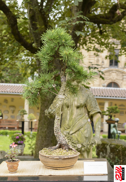 DSC_8361.jpg