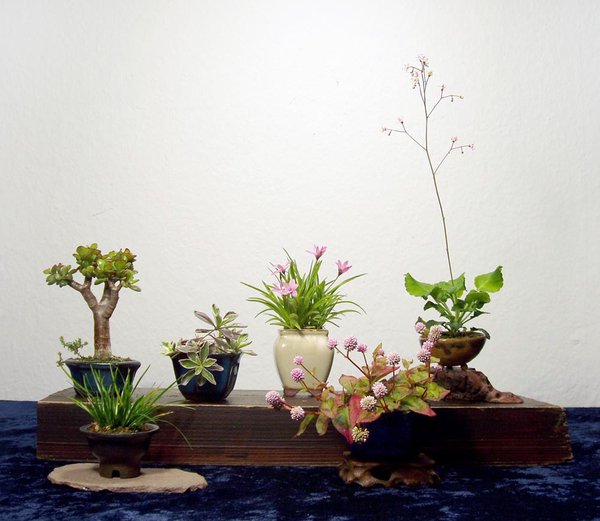 ... und noch ein Gruppenbild der Kleinsten