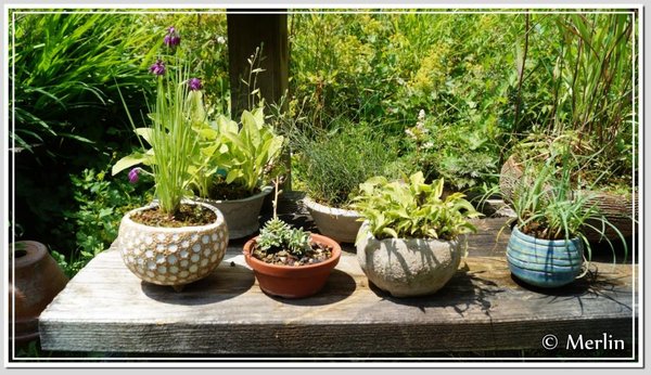 BesuchCarlosJuni2015_13.jpg