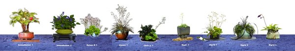 Wettbewerbstisch 3