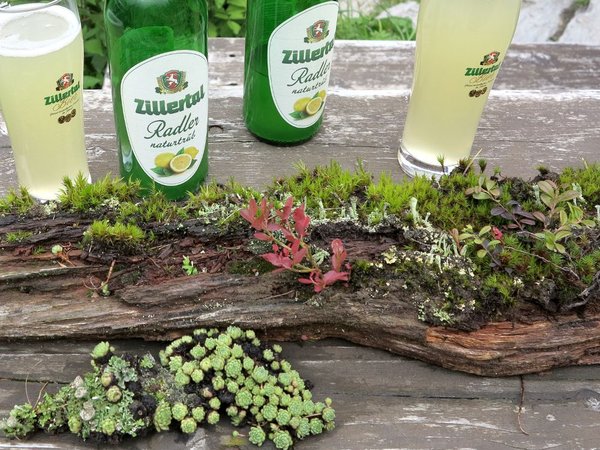 biergarten-beisteller.jpg