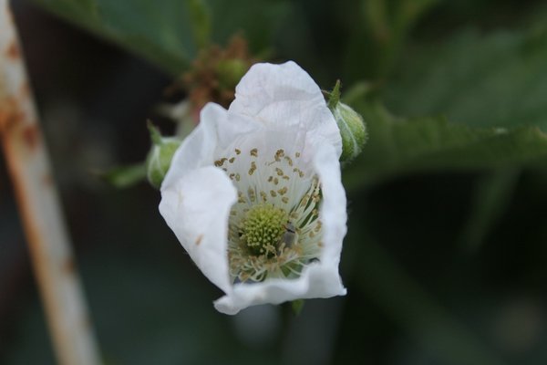 comp_IMG_5409.jpg