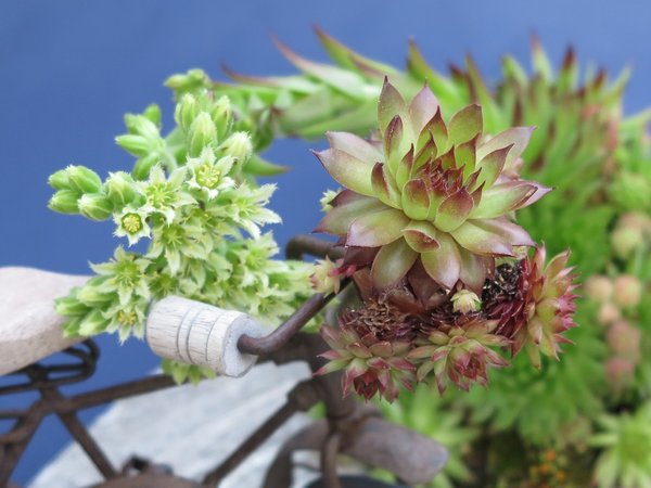 Unbenannt2015-07-11-b_.jpg
