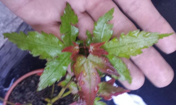 20150714_205836.jpg