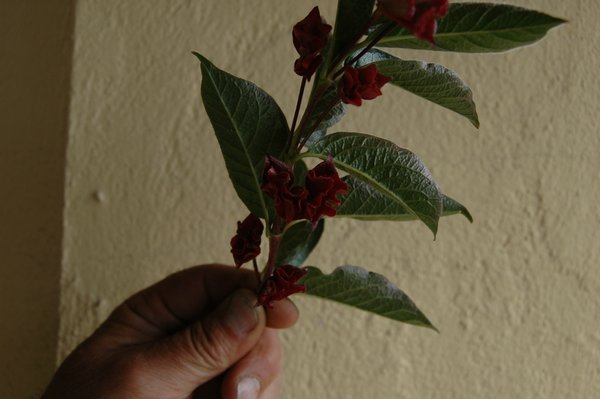 comp_DSC_0002.jpg
