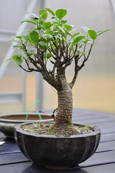 20111106a.jpg