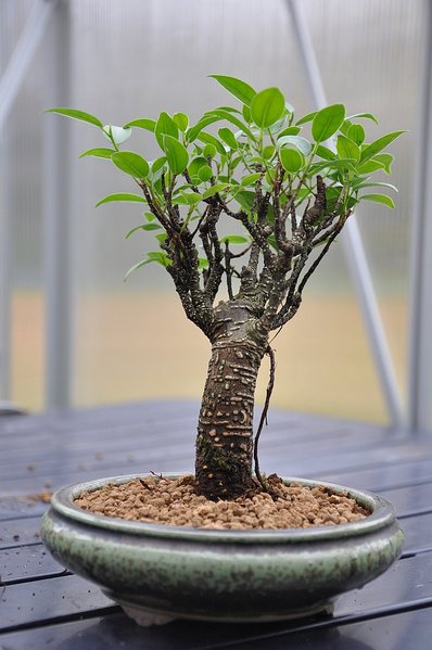 20111106h.jpg
