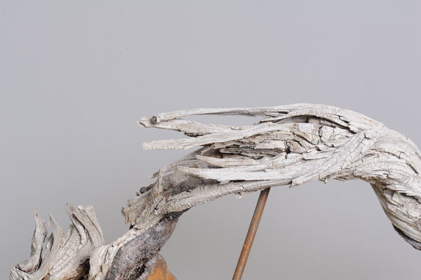 PHR_8434_31319.JPG