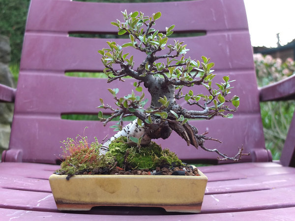 DSCF7261.jpg