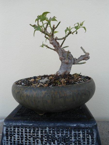 26.März 2014