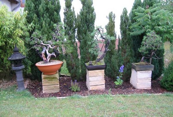 garten15.JPG
