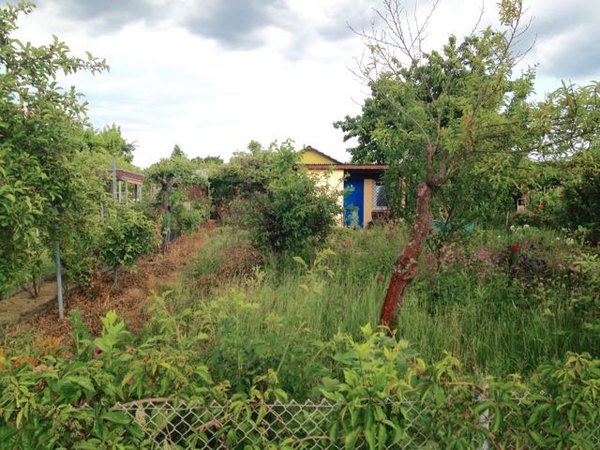 garten_v.jpg