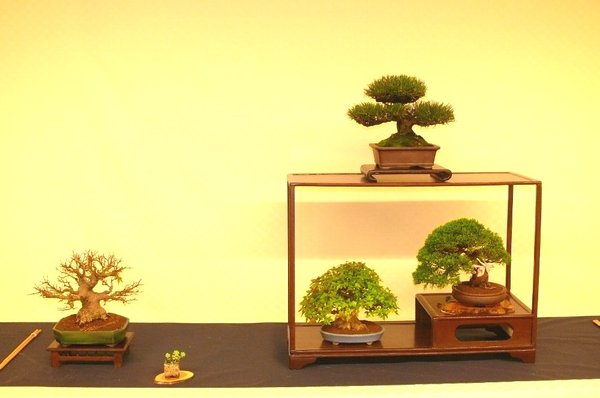 P1140322k.JPG