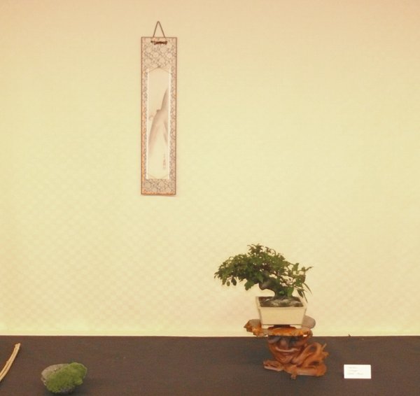 P1140330k.JPG