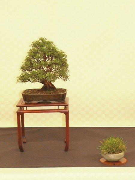 P1140333k.JPG