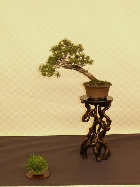 P1140334k.JPG