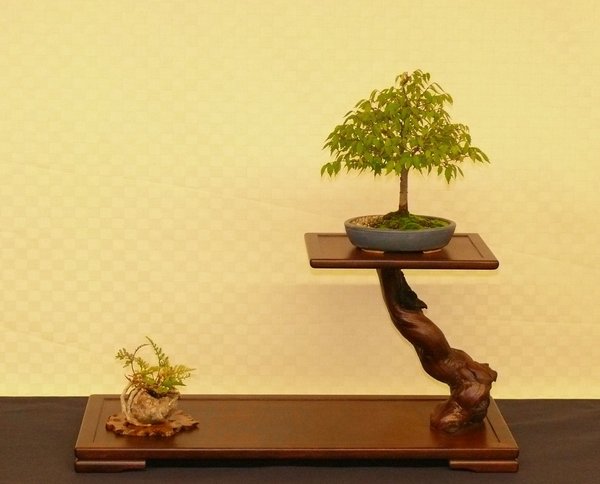P1140335k.JPG