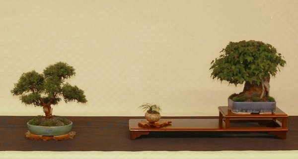 P1140341k.JPG