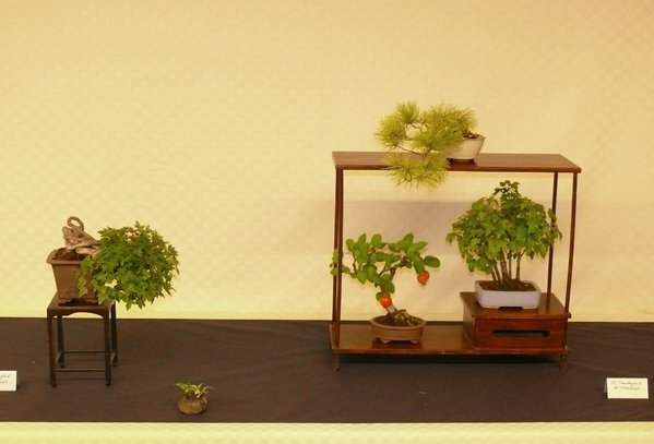 P1140359k.JPG