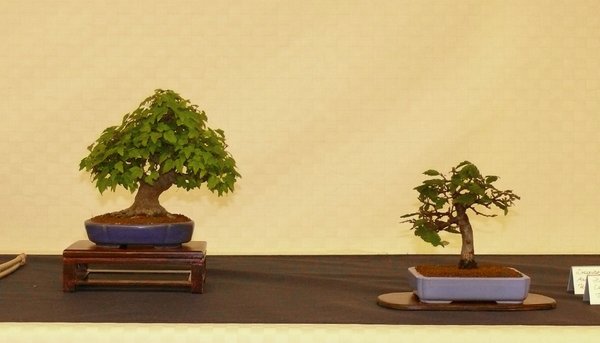 P1140360k.JPG
