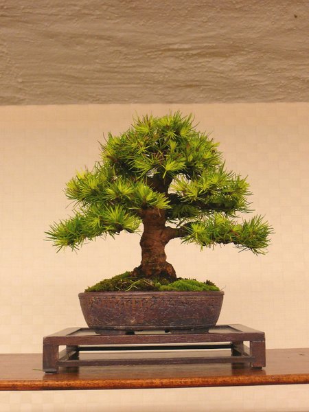 P1140388k.JPG