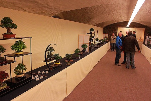 _MG_3725_d.jpg