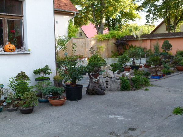 Urlaub September 2015 195.JPG
