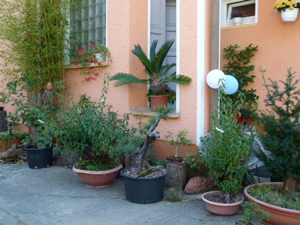 Urlaub September 2015 196.JPG