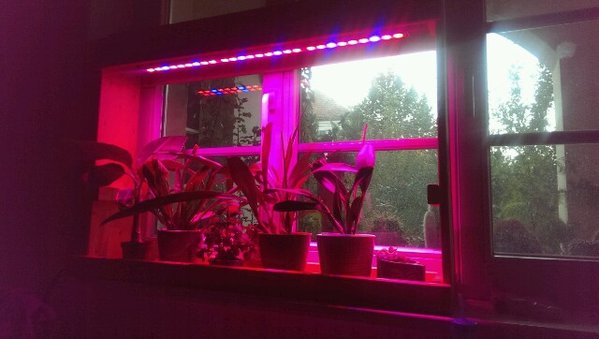 IMAG0457-640x362.jpg