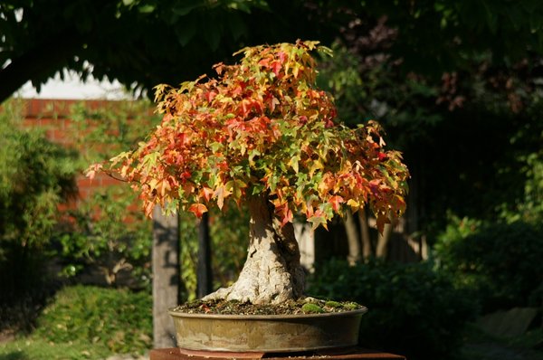 PICT4604.JPG