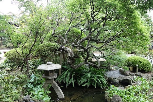 Derselbe Garten in Kamakura