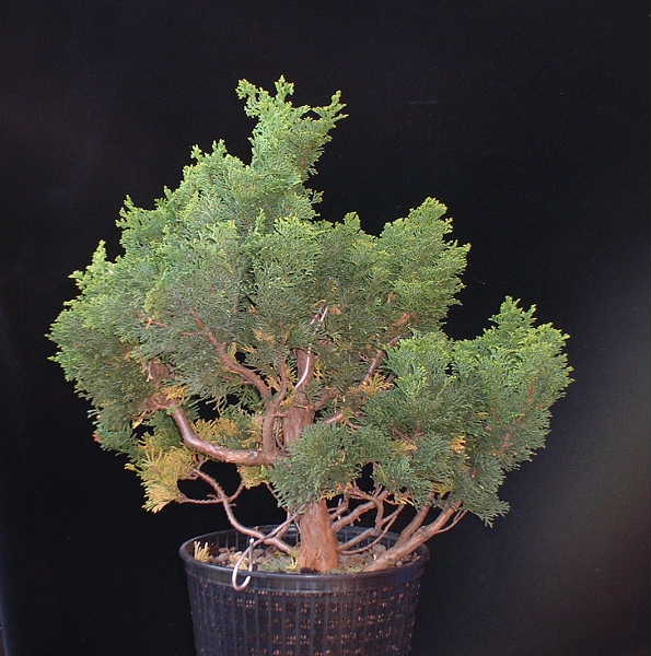 Welch ein jammer ...