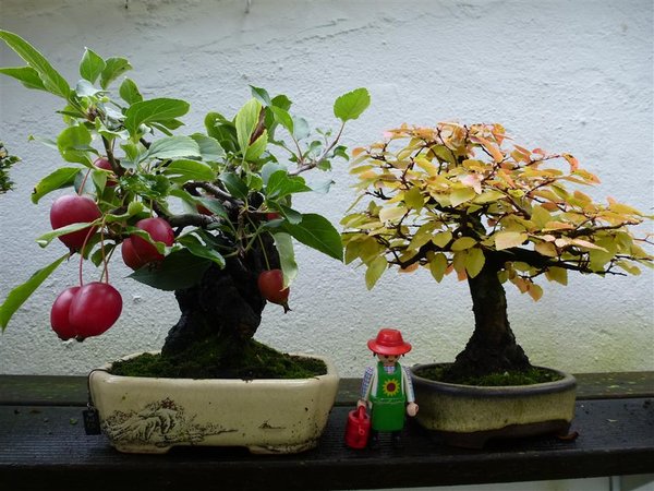 Herbst.JPG