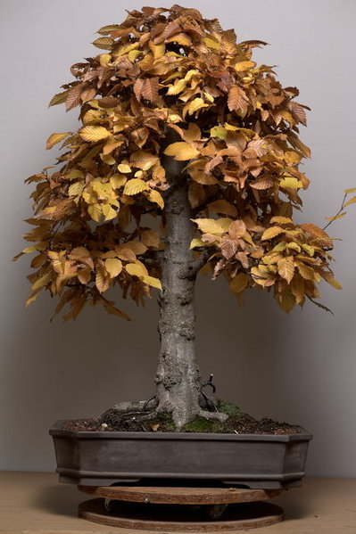 PHR_1754_34572.JPG