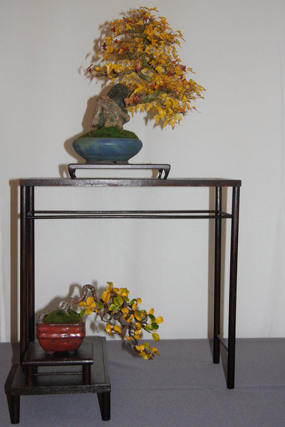 Shohin_Display.jpg