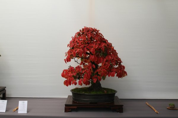 IMG_6309.JPG