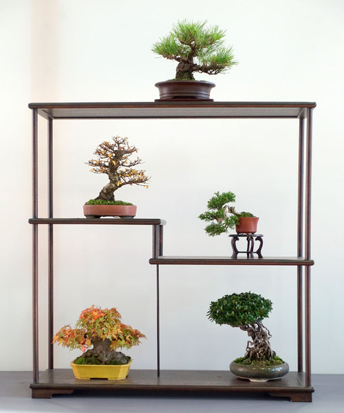 Shohin_Display01-02small.jpg