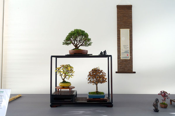 Shohin_Display02-01small.jpg
