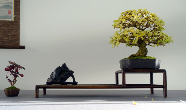 Shohin_Display02-05small.jpg