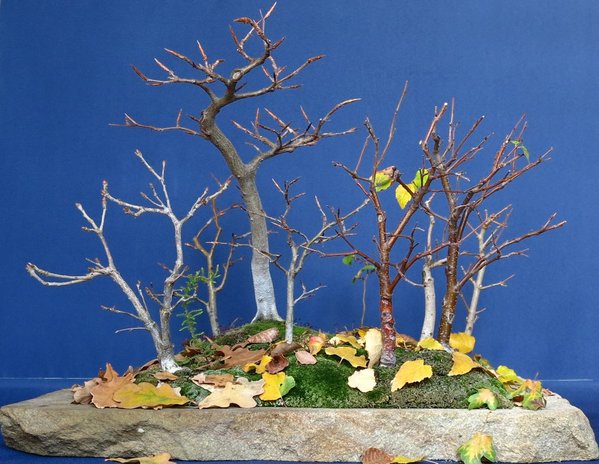2015-11-01_.jpg