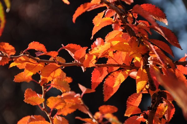 am 23. Oktober passte auch das Wetter