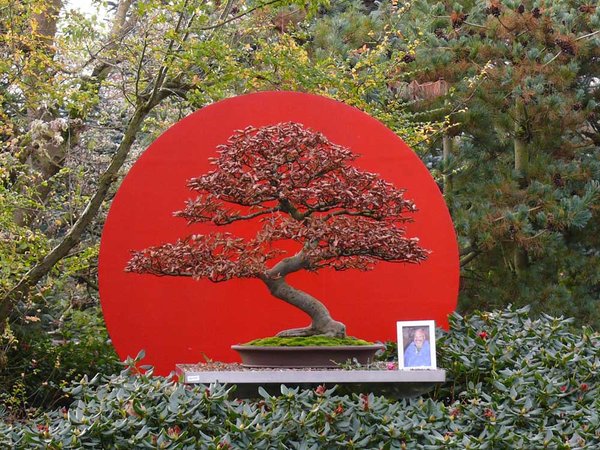 Der Logobaum und das Bild des unvergessenen und schmerzlich vermissten Hermann Pieper. Er hätte sich über diesen schönen Tag in Enger gefreut und über den Besuch vieler langjähriger Stammkunden.