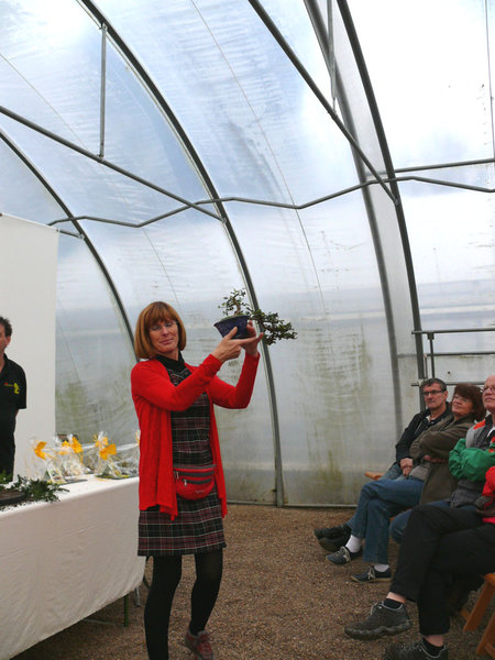 Michaela präsentiert den drittplatzierten Baum von Peter L