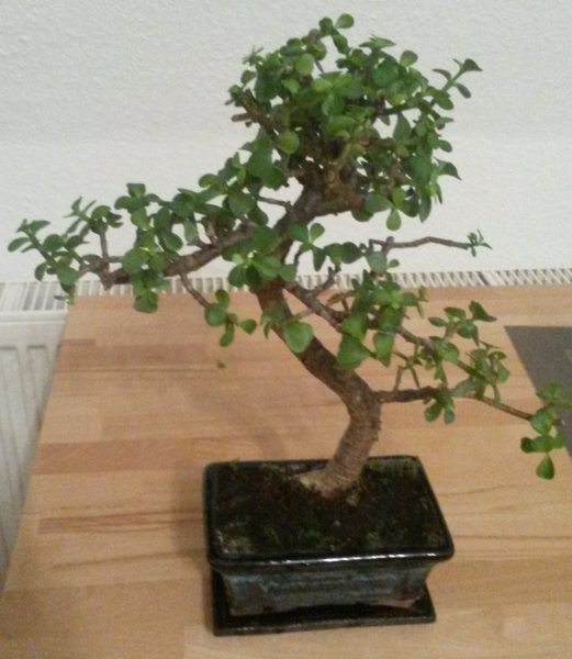20151108_173209.jpg